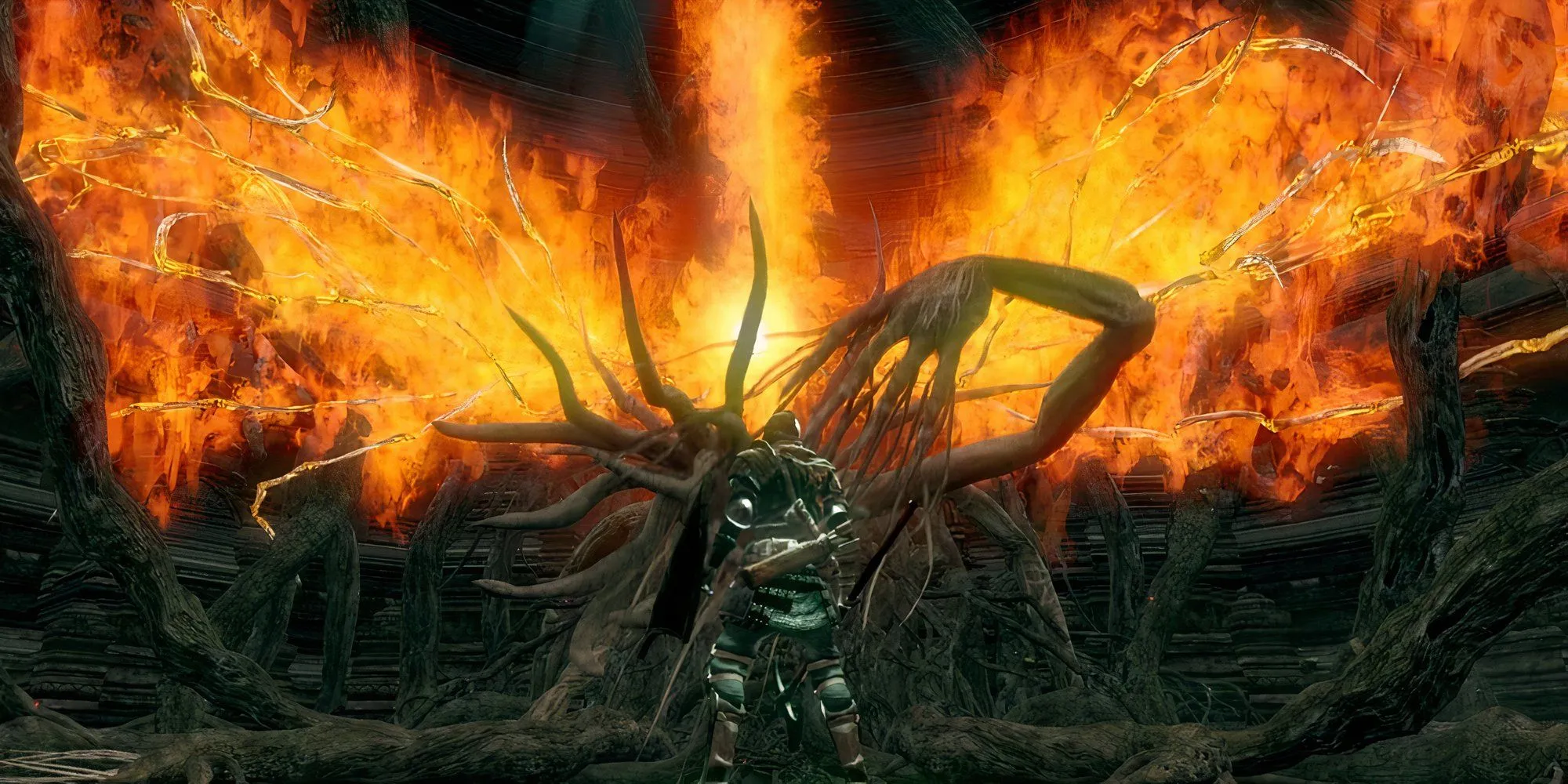 Bed of Chaos, một cái cây hỗn loạn khổng lồ trong Dark Souls