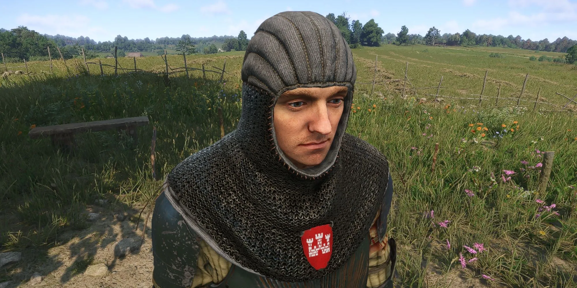 Mail Hood with Coat of Arms armor