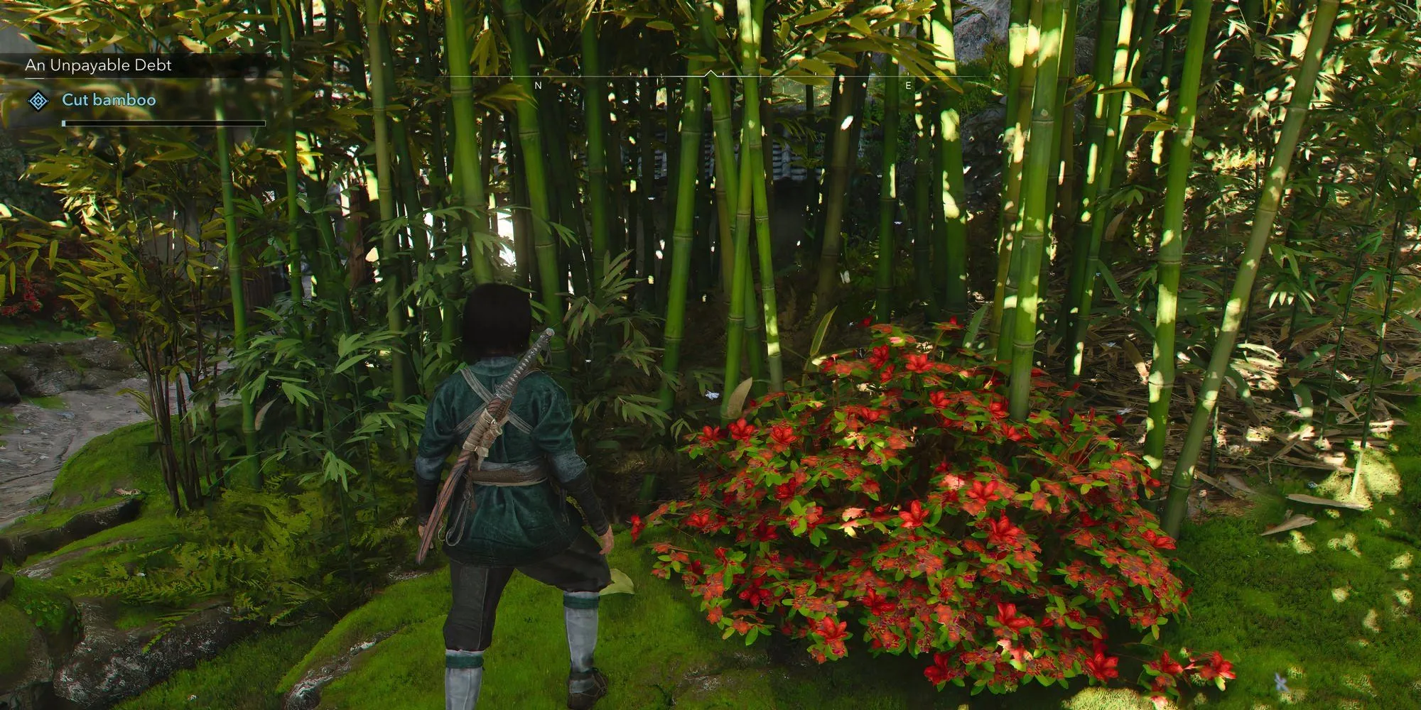 Naoe chặt tre trong Assassin's Creed Shadows