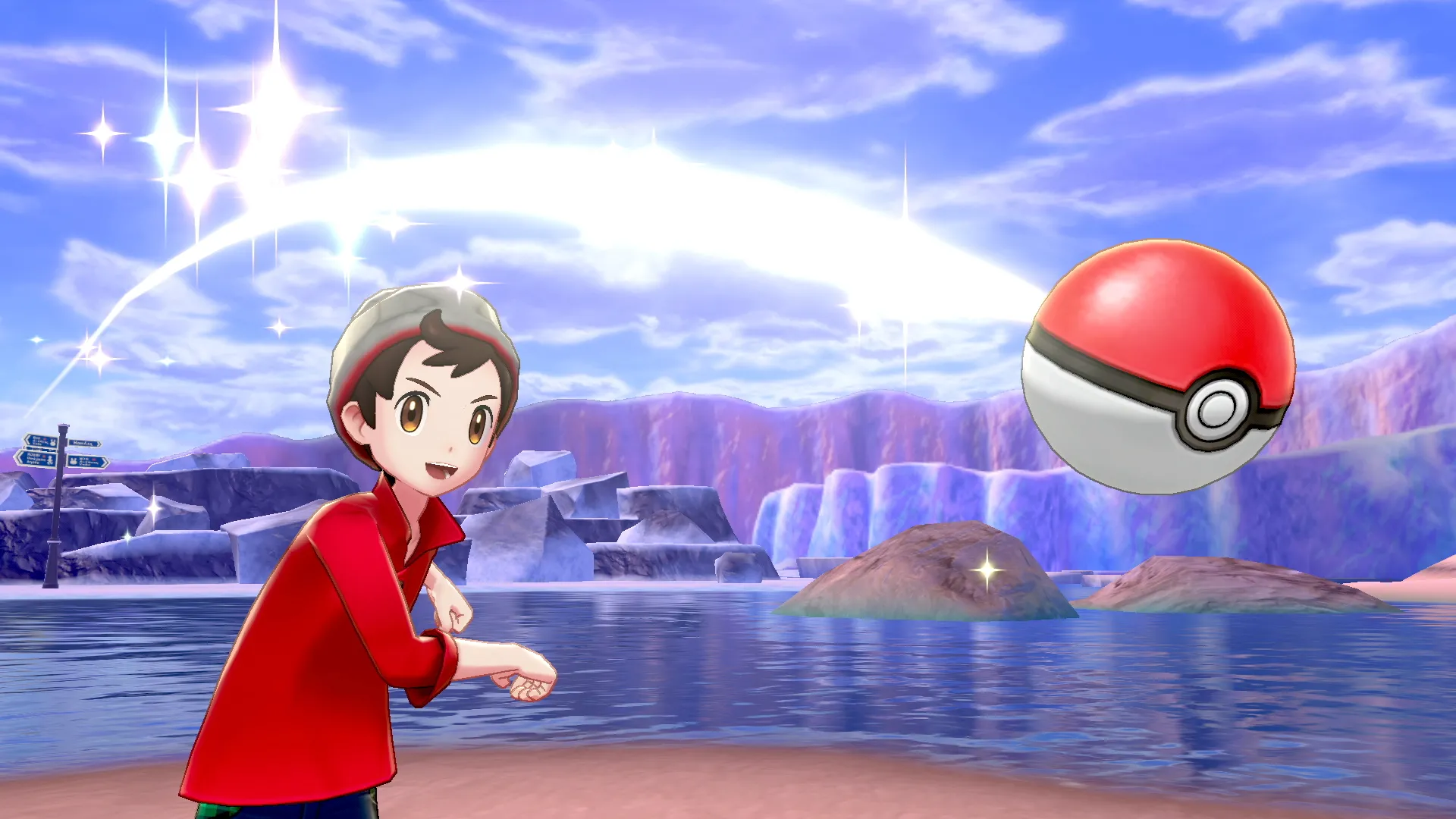 Người chơi bắt Pokemon trong Khu Vực Hoang Dã (Wild Area) của Pokemon Sword và Shield
