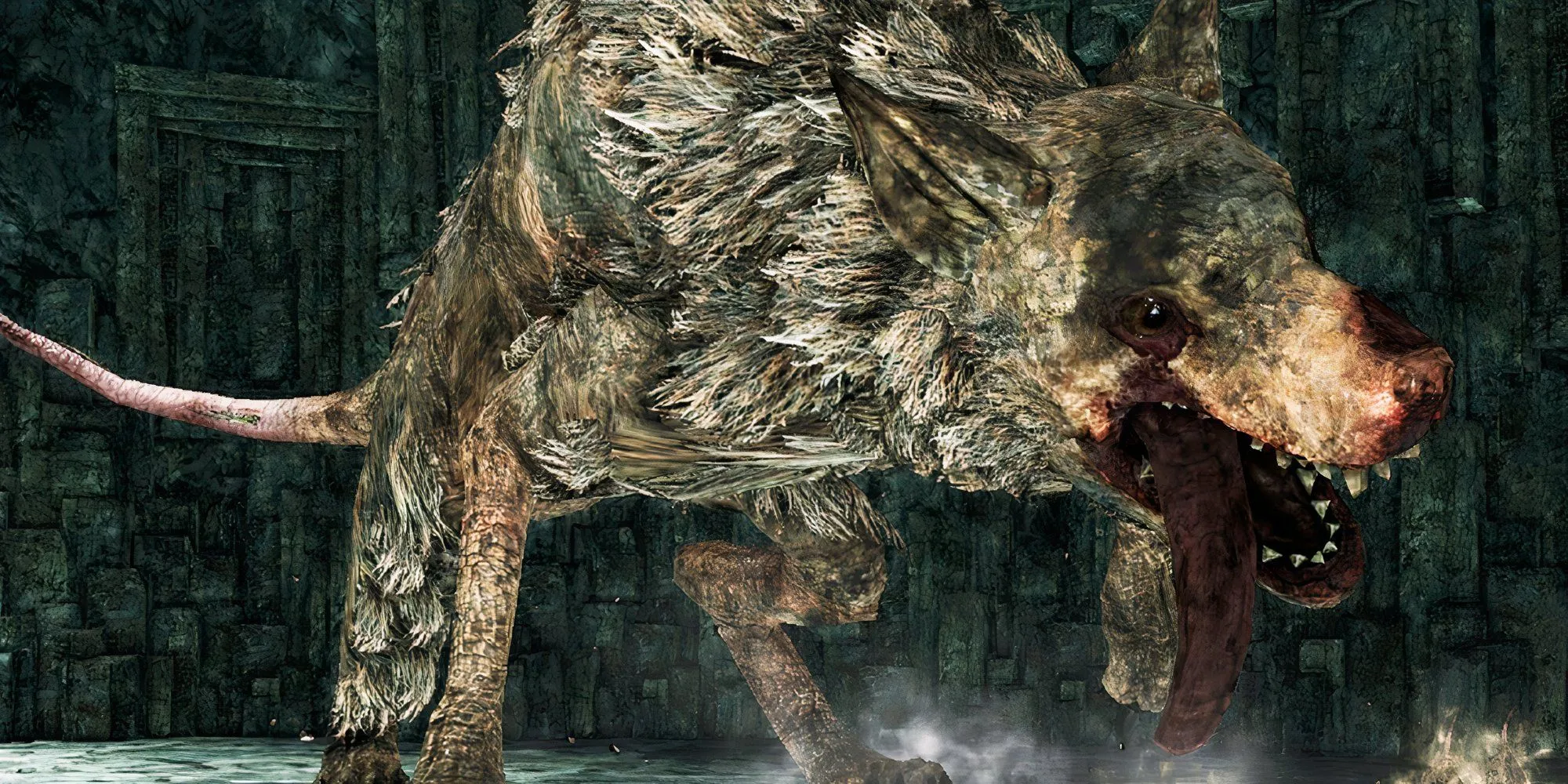 Royal Rat Authority, một con chuột khổng lồ trong Dark Souls 2 cùng bầy chuột nhỏ