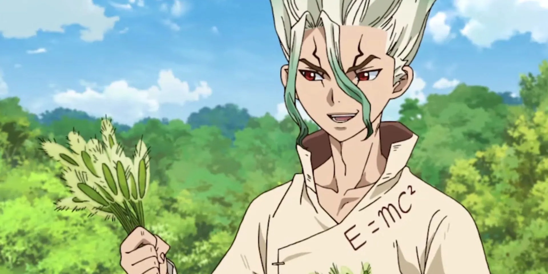 Senku Ishigami cầm cây cỏ đuôi cáo trong Dr Stone chuẩn bị cho thí nghiệm khoa học
