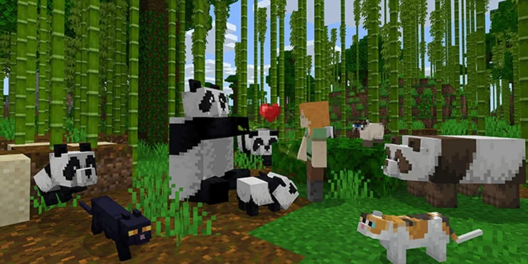 Cảnh chơi cùng gấu trúc và mèo trong Minecraft.