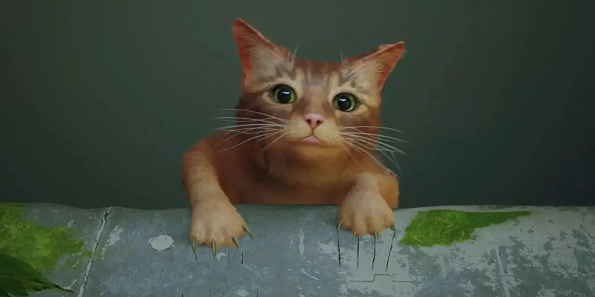 Khoảnh khắc chú mèo bị tách khỏi gia đình trong phần mở đầu cảm động của Stray