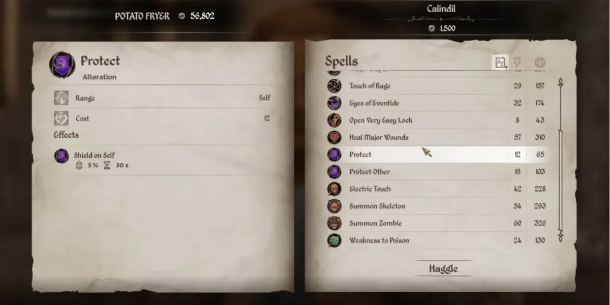 Hiệu ứng bảo vệ của phép Protect trong game The Elder Scrolls IV Oblivion Remastered