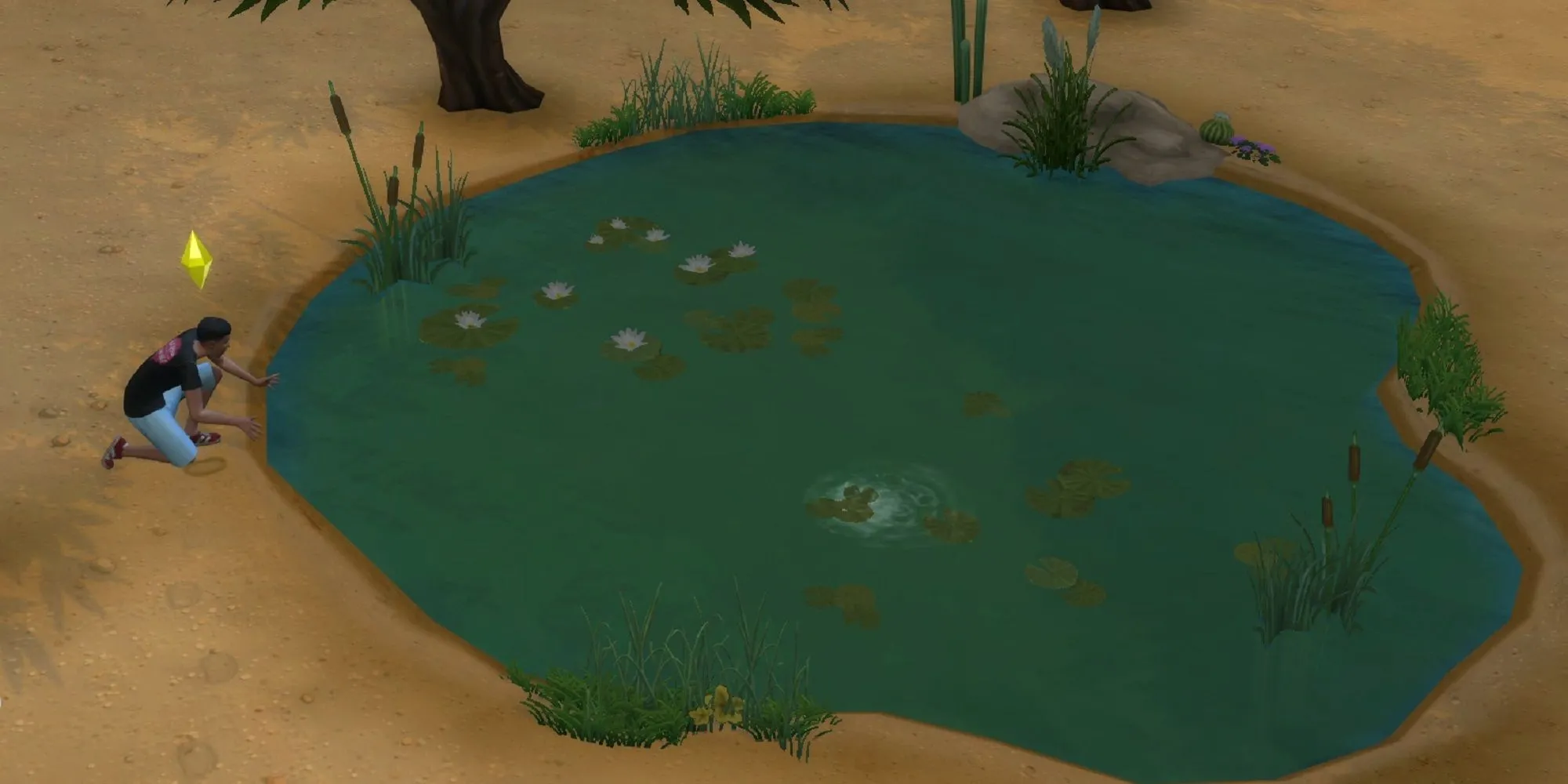 Sims 4 Desert Bloom Park Catching Frogs