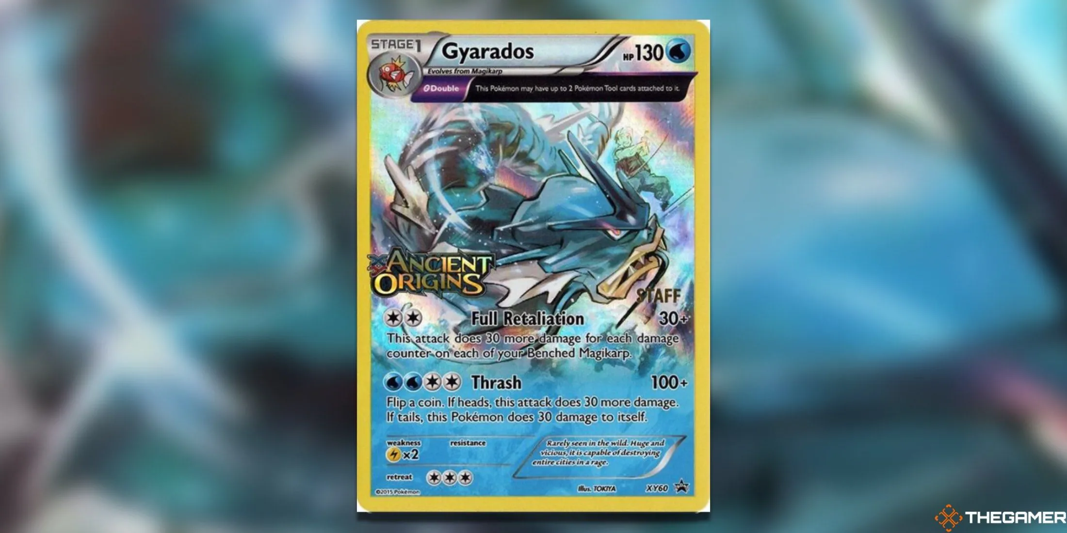 Thẻ bài Pokemon TCG Gyarados XY60 phiên bản Staff Promo Ancient Origins