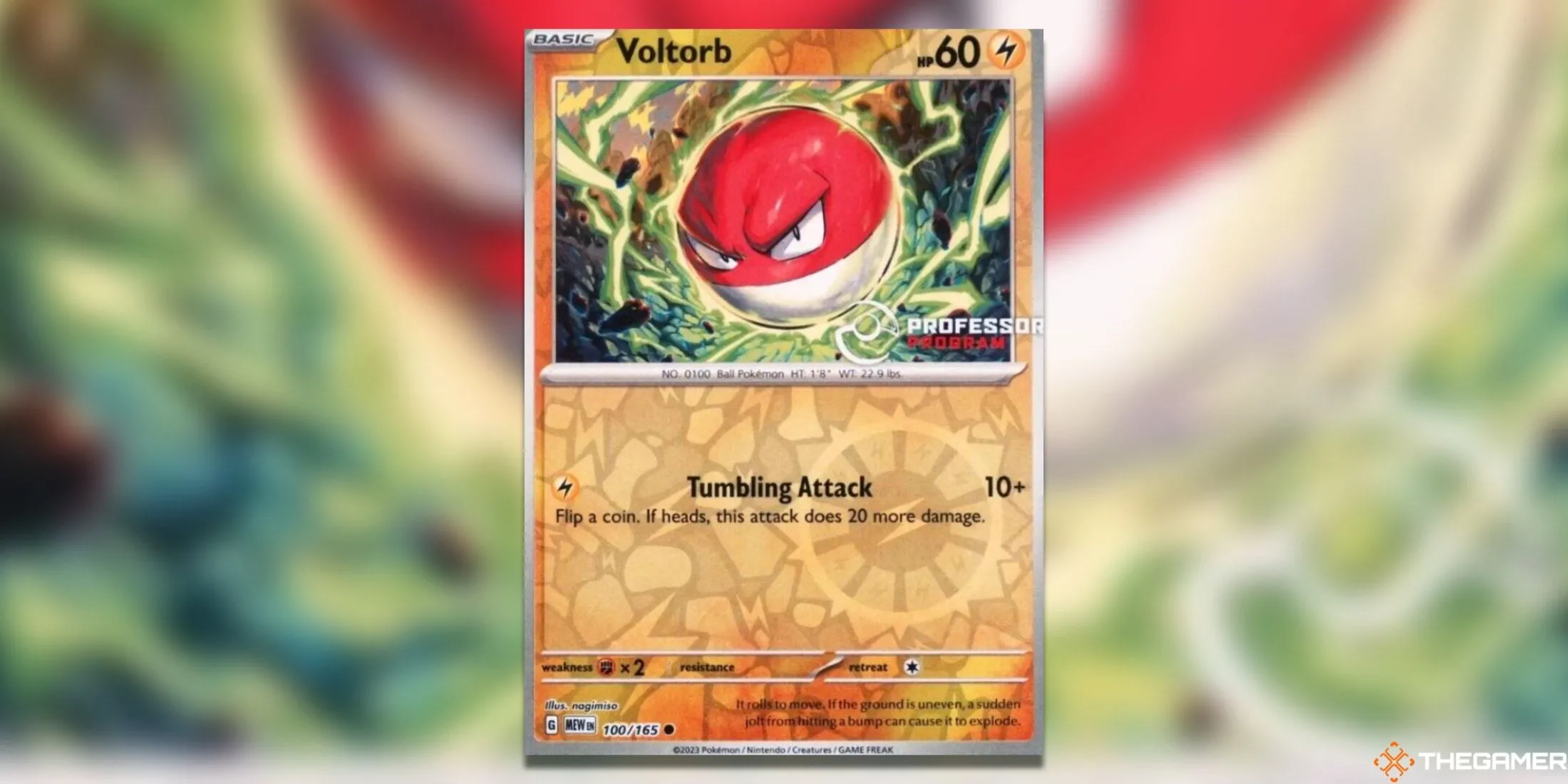 Thẻ bài Pokemon TCG Voltorb phiên bản Professor Program Promos với giá trị lên tới 2.000 USD